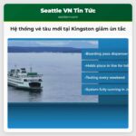 Hệ thống vé tàu mới tại Kingston giảm ùn tắc
