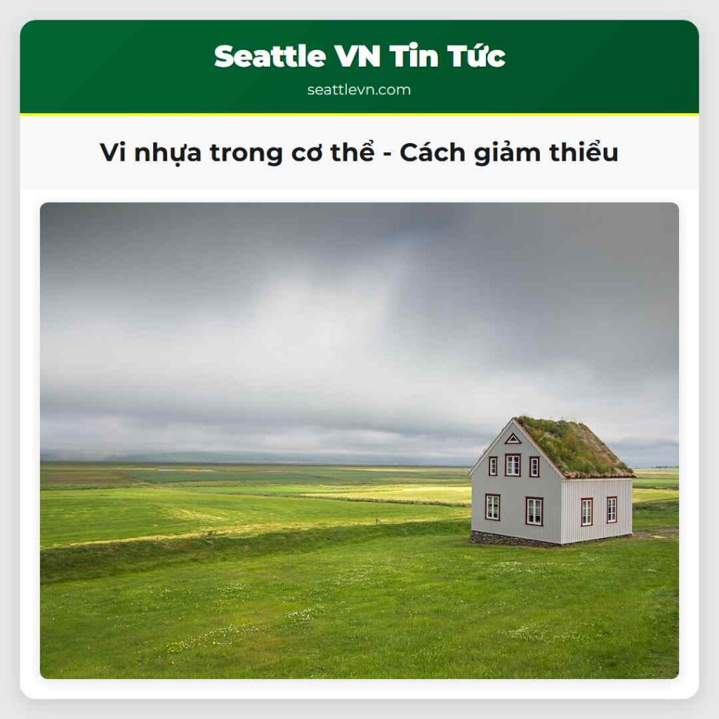 Vi nhựa trong cơ thể - Cách giảm thiểu