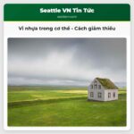 Vi nhựa trong cơ thể – Cách giảm thiểu