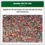 Người trẻ 19 tuổi được cứu sau tai nạn tại công viên Discovery