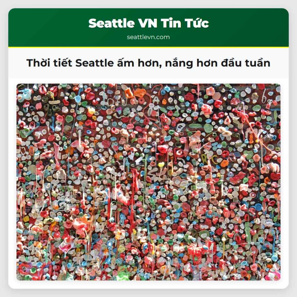 Thời tiết Seattle ấm hơn, nắng hơn đầu tuần