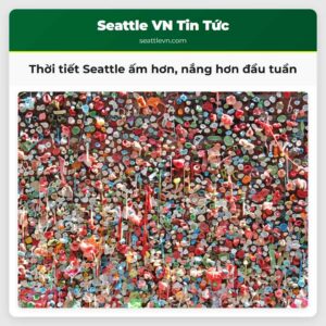 Thời tiết Seattle ấm hơn nắng hơn đầu tuần