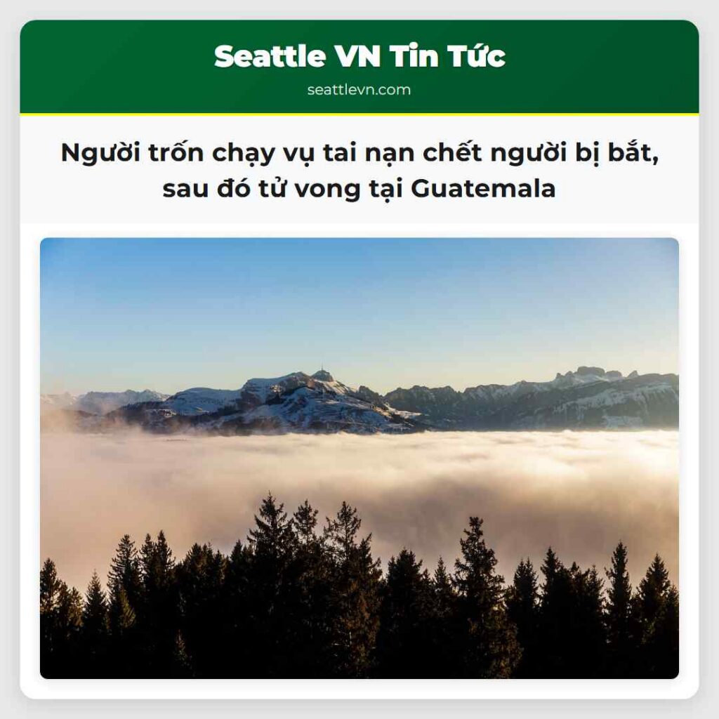 Người trốn chạy vụ tai nạn chết người bị bắt, sau