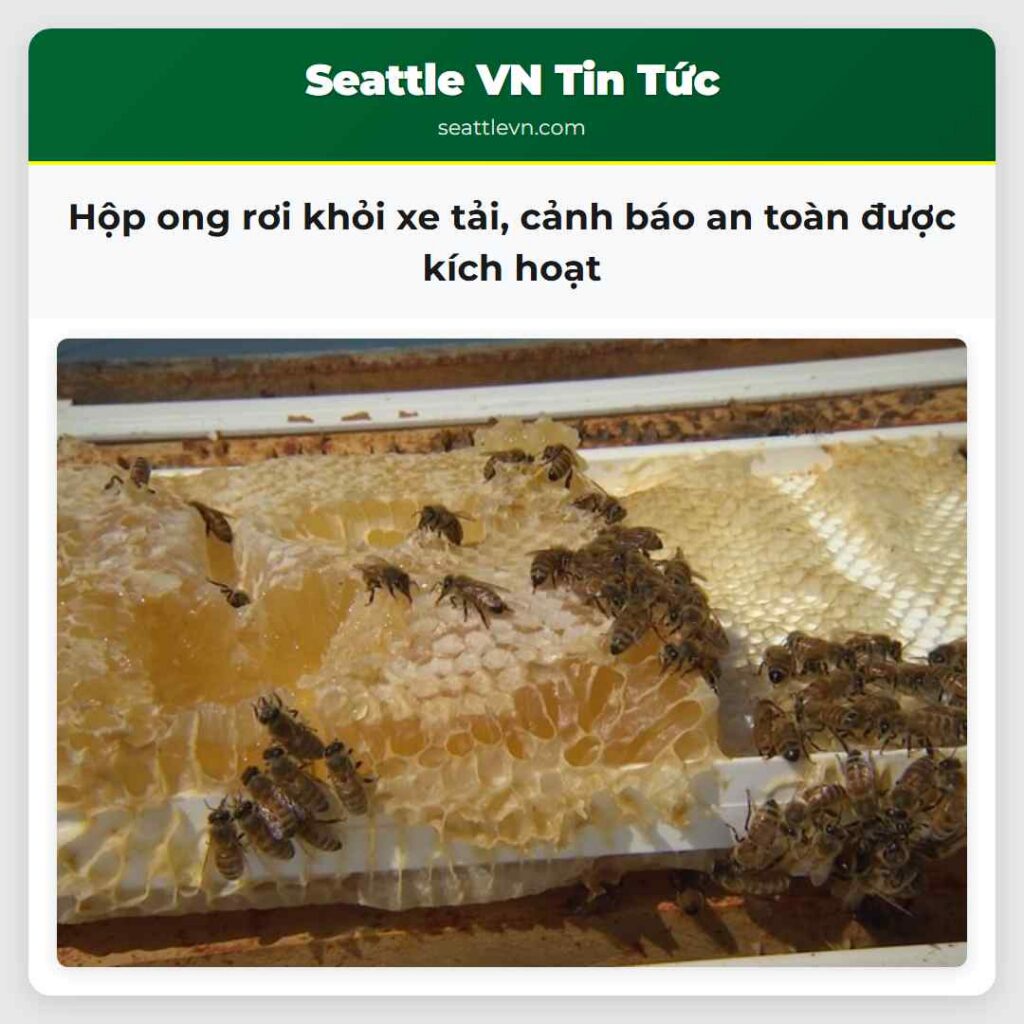Hộp ong rơi khỏi xe tải, cảnh báo an toàn được