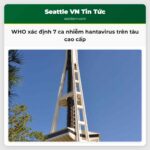WHO xác định 7 ca nhiễm hantavirus trên tàu cao cấp