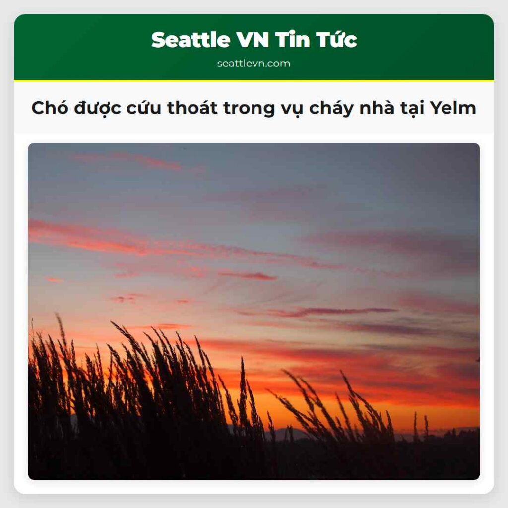 Chó được cứu thoát trong vụ cháy nhà tại Yelm