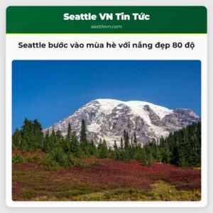 Seattle bước vào mùa hè với nắng đẹp 80 độ