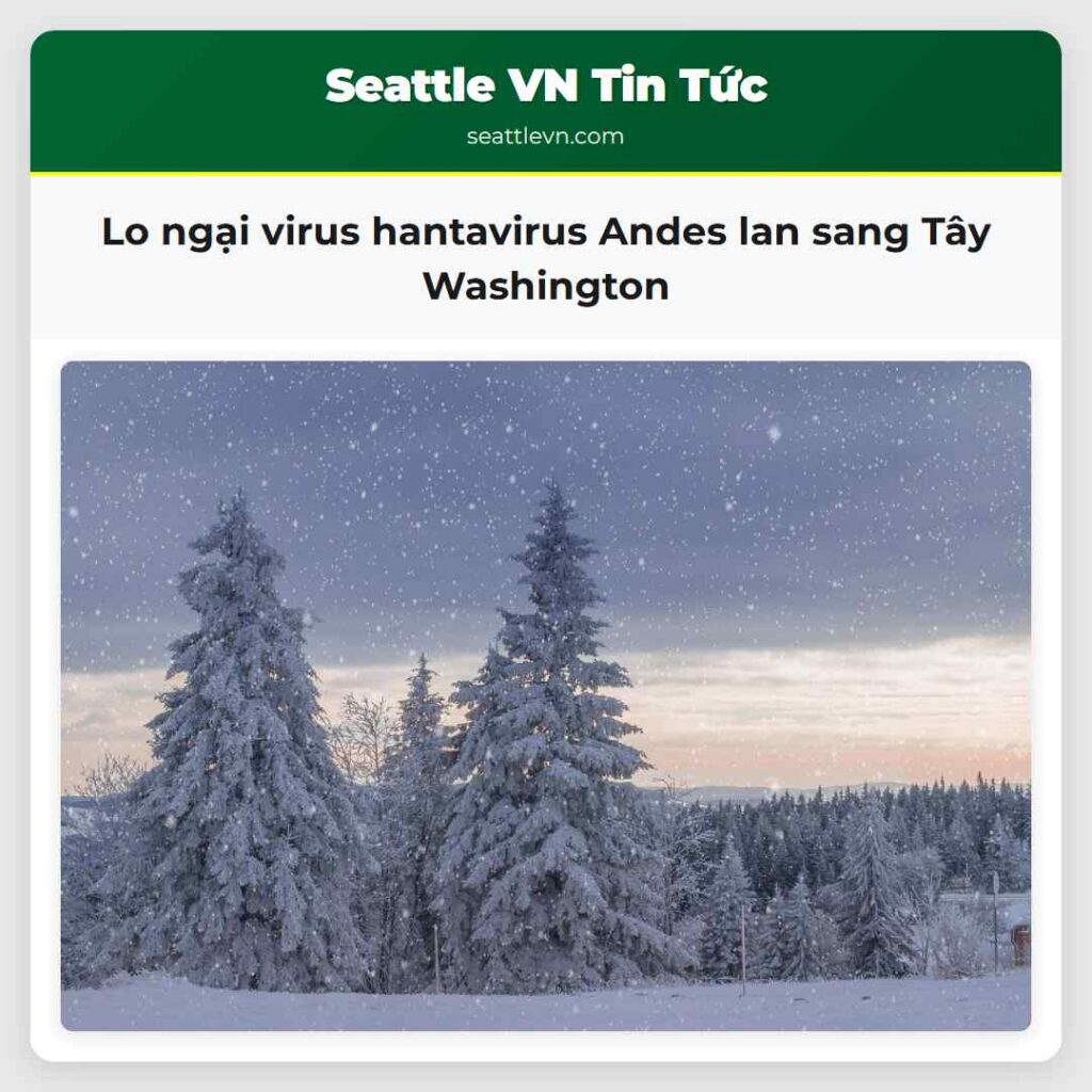 Lo ngại virus hantavirus Andes lan sang Tây