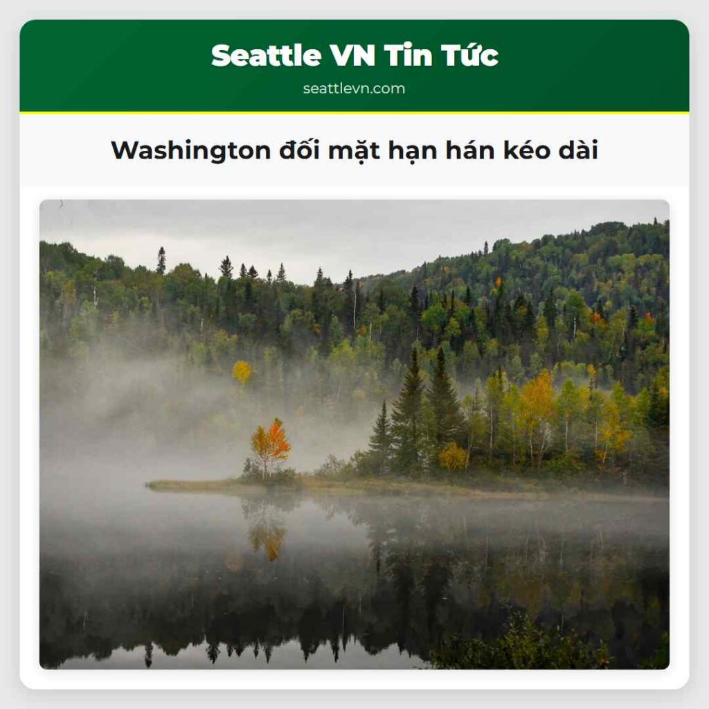 Washington đối mặt hạn hán kéo dài