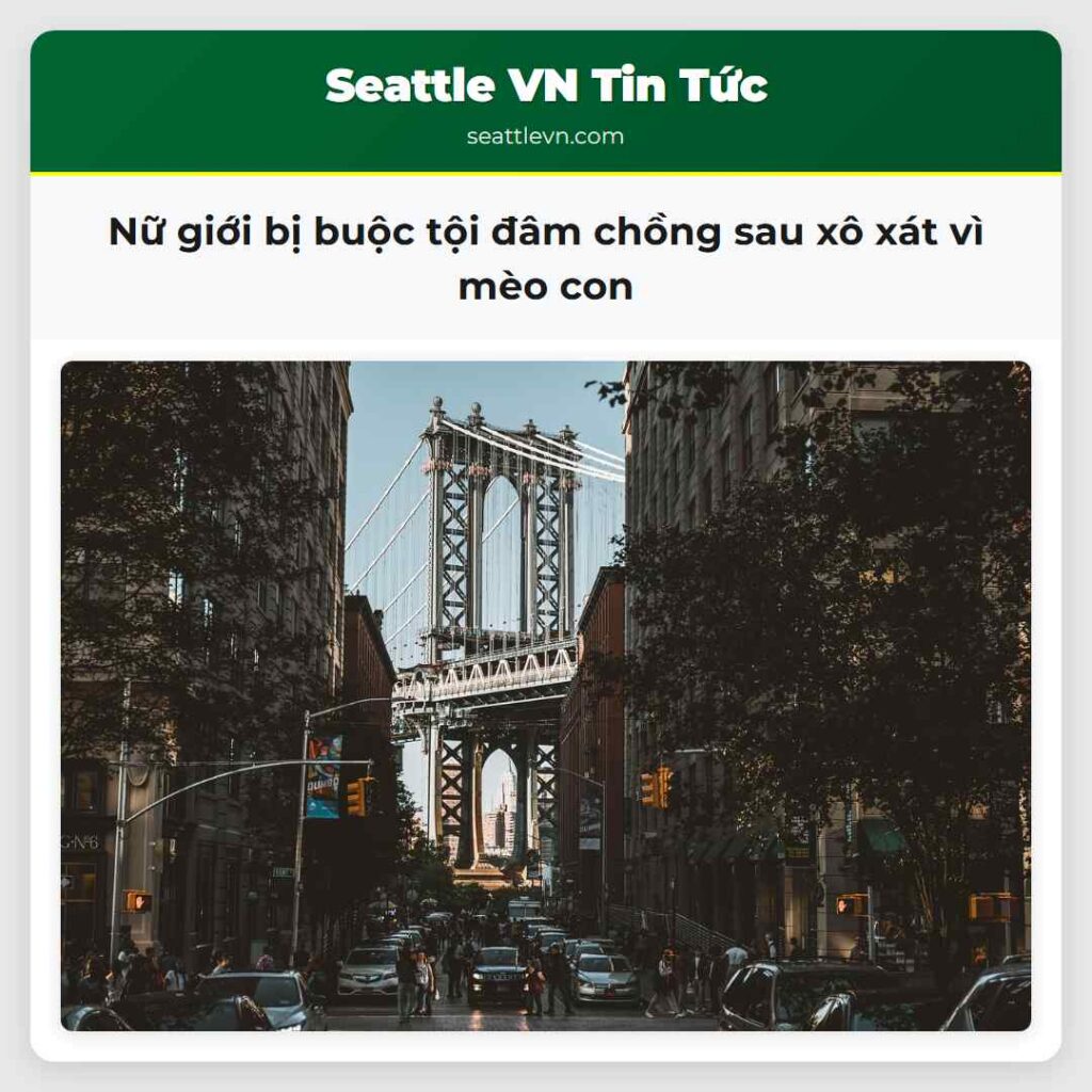 Nữ giới bị buộc tội đâm chồng sau xô xát vì mèo