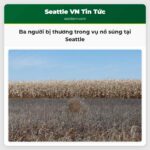 Ba người bị thương trong vụ nổ súng tại Seattle