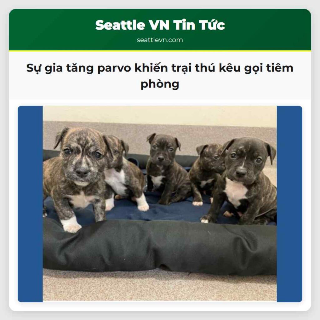 Sự gia tăng parvo khiến trại thú kêu gọi tiêm