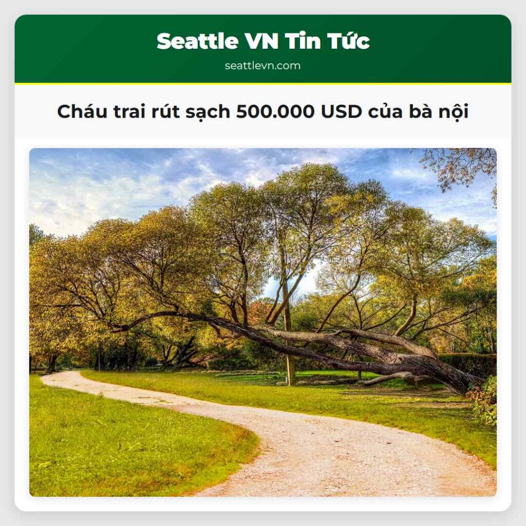 Cháu trai rút sạch 500.000 USD của bà nội