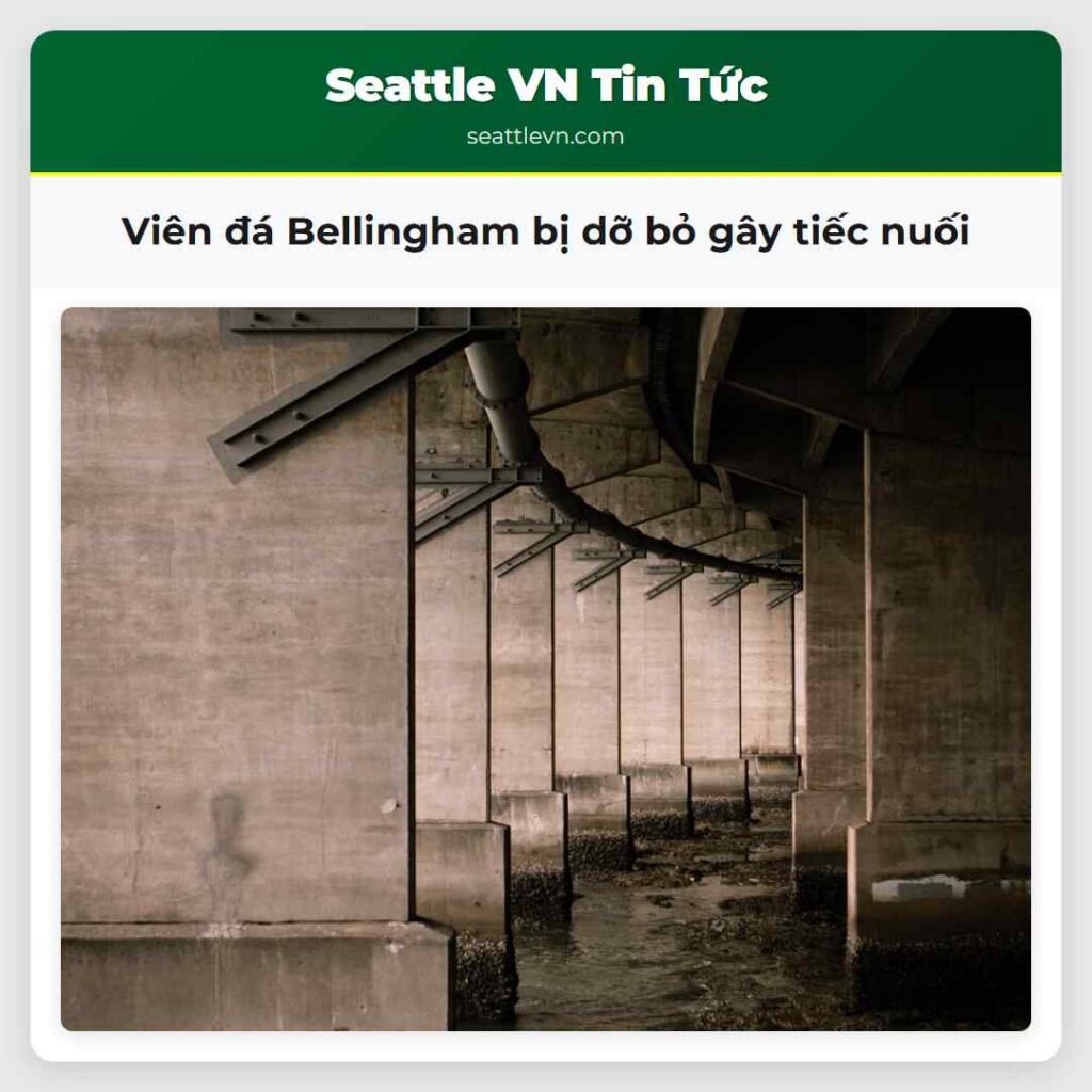 Viên đá Bellingham bị dỡ bỏ gây tiếc nuối