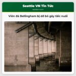 Viên đá Bellingham bị dỡ bỏ gây tiếc nuối