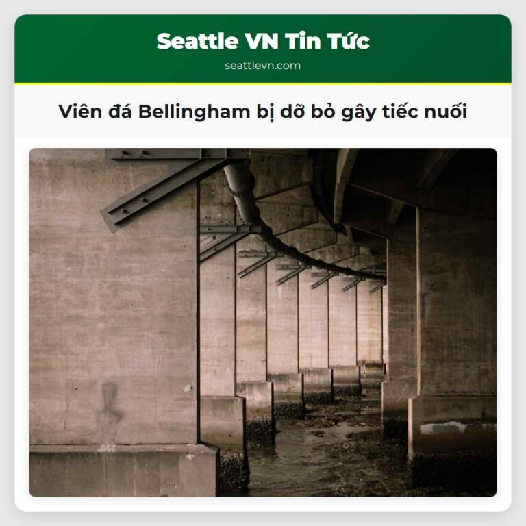 Viên đá Bellingham bị dỡ bỏ gây tiếc nuối