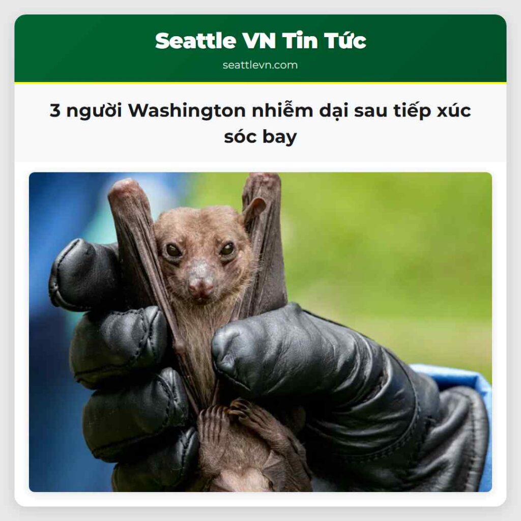 3 người Washington nhiễm dại sau tiếp xúc sóc bay