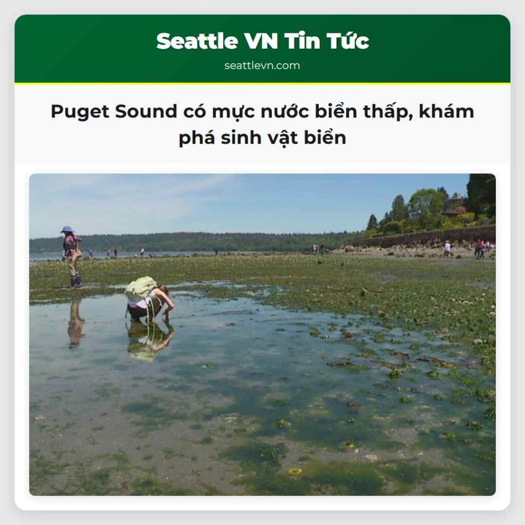 Puget Sound có mực nước biển thấp, khám phá sinh