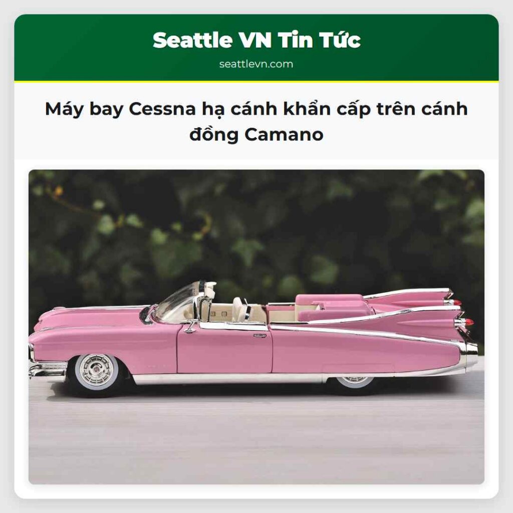 Máy bay Cessna hạ cánh khẩn cấp trên cánh đồng