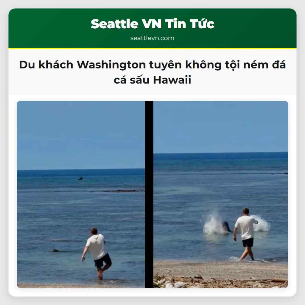 Du khách Washington tuyên không tội ném đá cá sấu