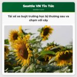 Tài xế xe buýt trường học bị thương sau va chạm với cây