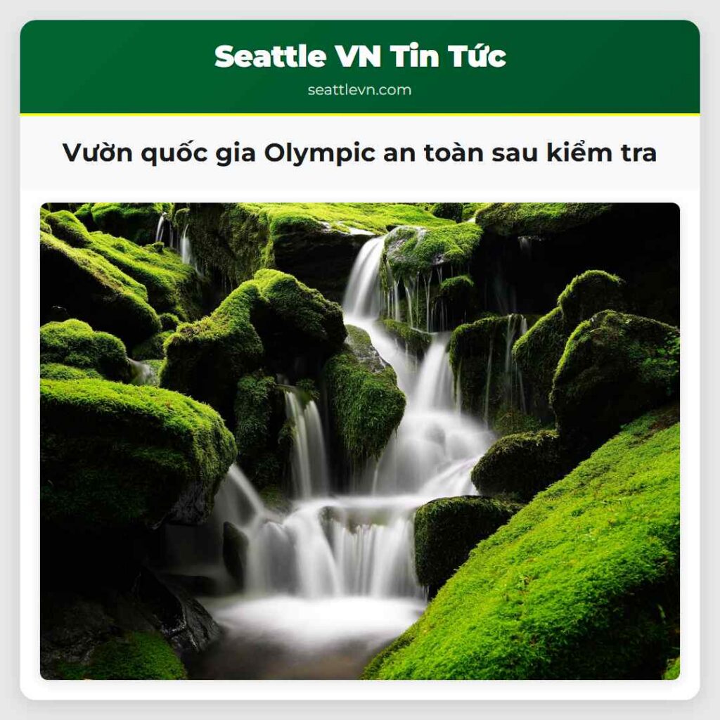 Vườn quốc gia Olympic an toàn sau kiểm tra