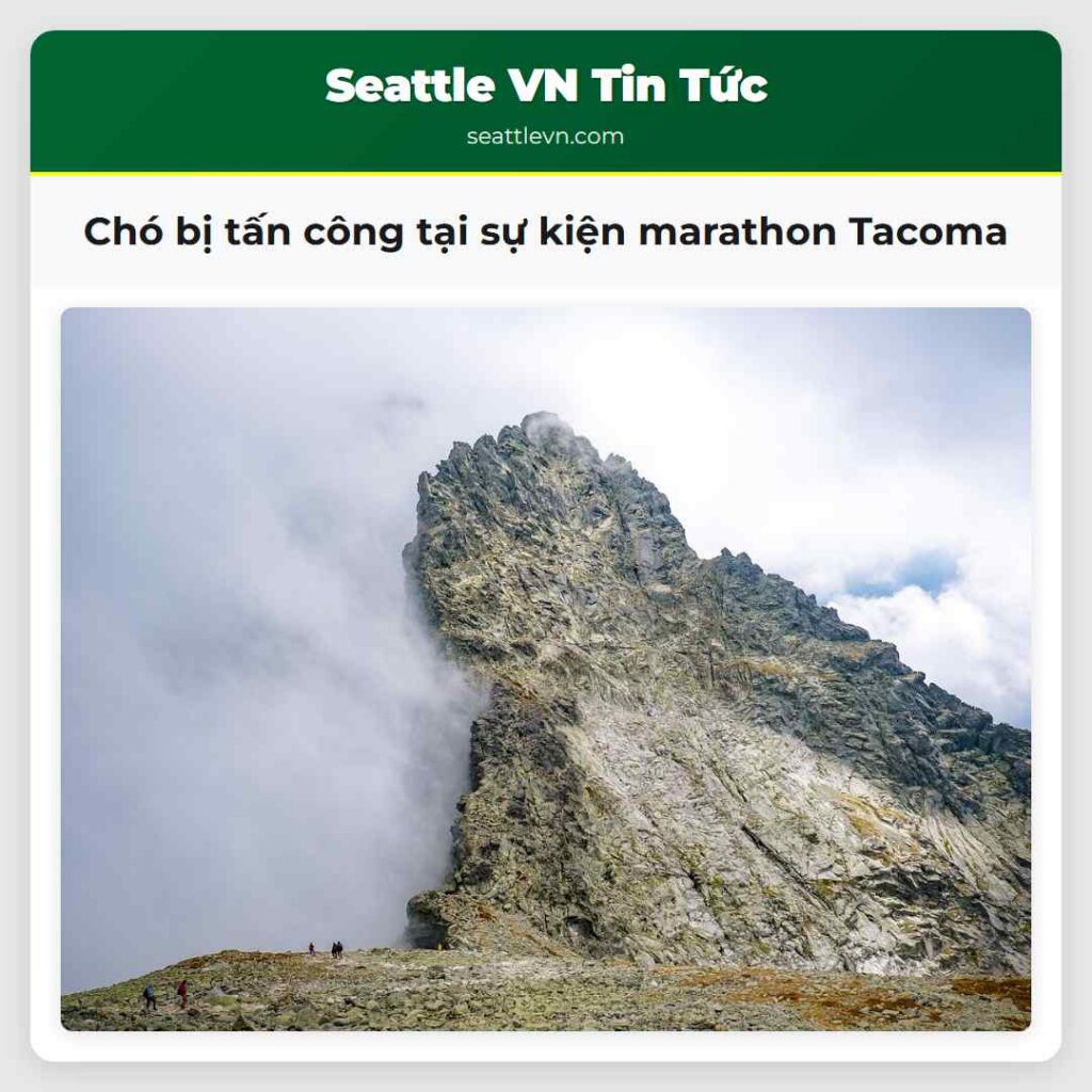 Chó bị tấn công tại sự kiện marathon Tacoma