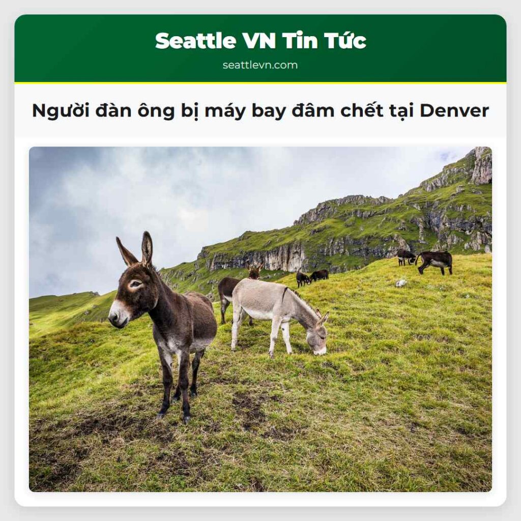Người đàn ông bị máy bay đâm chết tại Denver