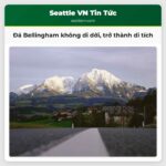 Đá Bellingham không di dời trở thành di tích
