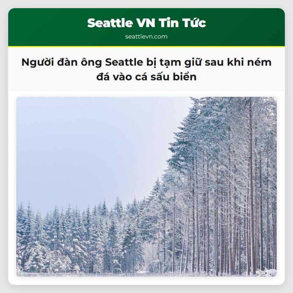 Người đàn ông Seattle bị tạm giữ sau khi ném đá