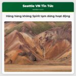 Hãng hàng không Spirit tạm dừng hoạt động