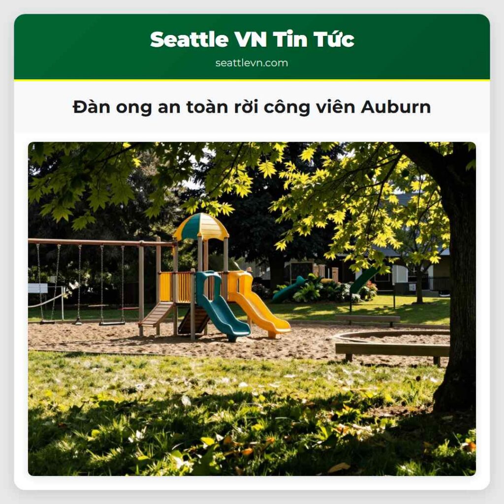 Đàn ong an toàn rời công viên Auburn