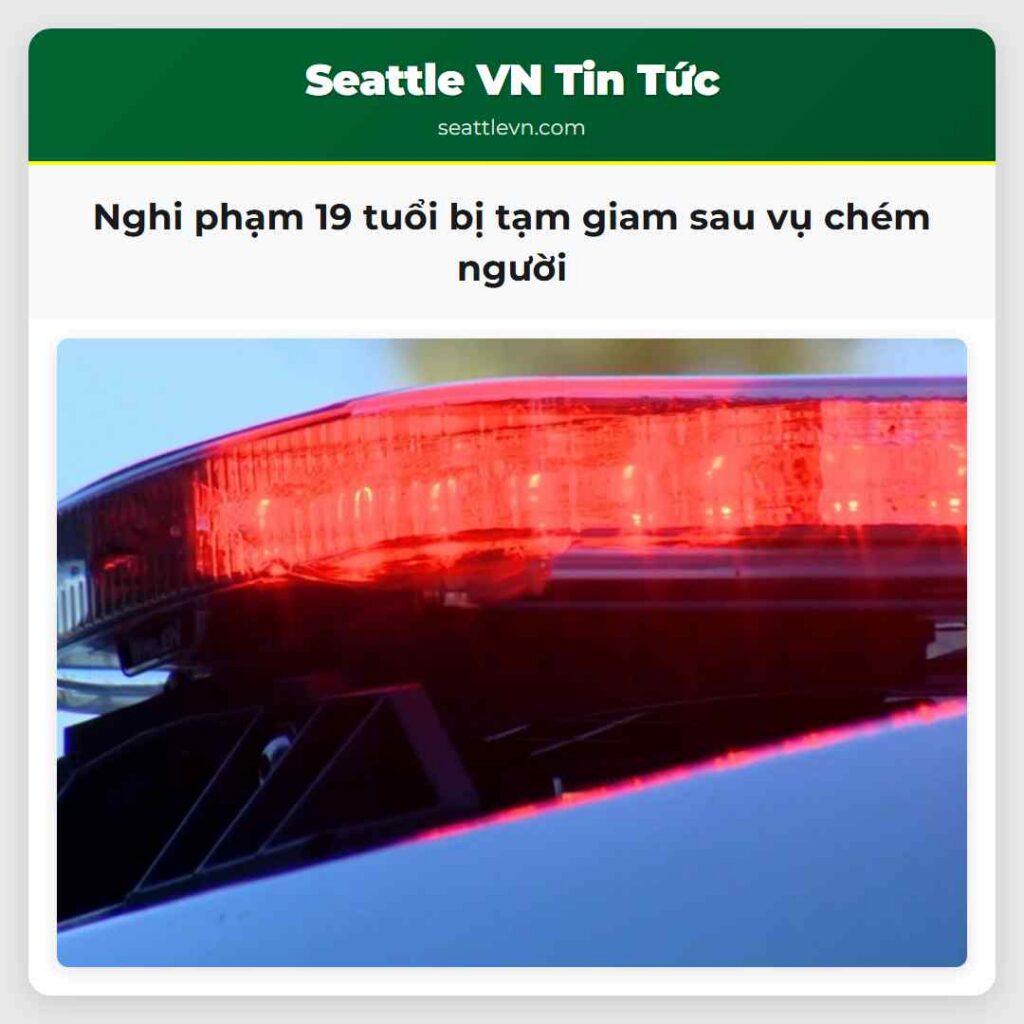 Nghi phạm 19 tuổi bị tạm giam sau vụ chém người