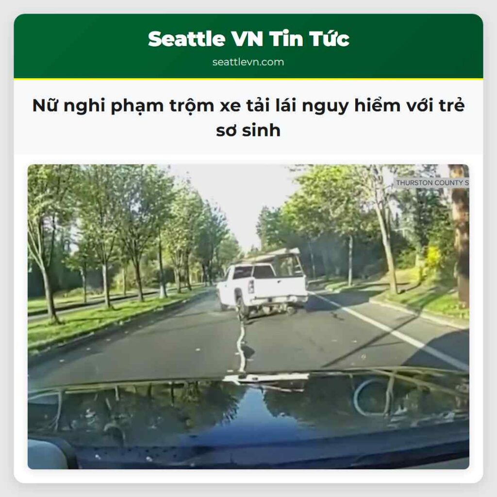 Nữ nghi phạm trộm xe tải lái nguy hiểm với trẻ sơ