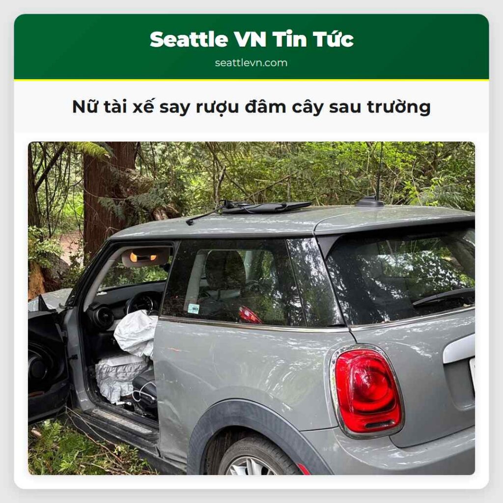 Nữ tài xế say rượu đâm cây sau trường