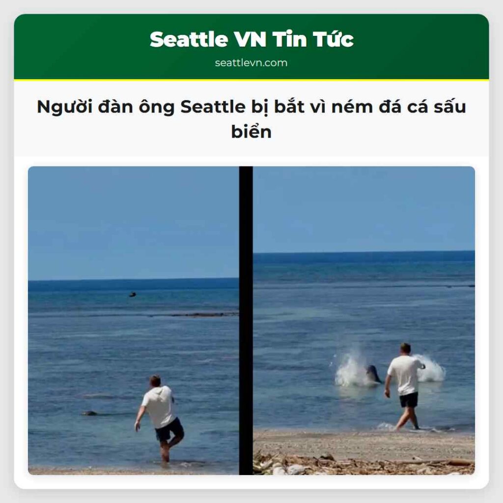 Người đàn ông Seattle bị bắt vì ném đá cá sấu biển