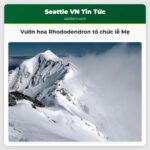 Vườn hoa Rhododendron tổ chức lễ Mẹ