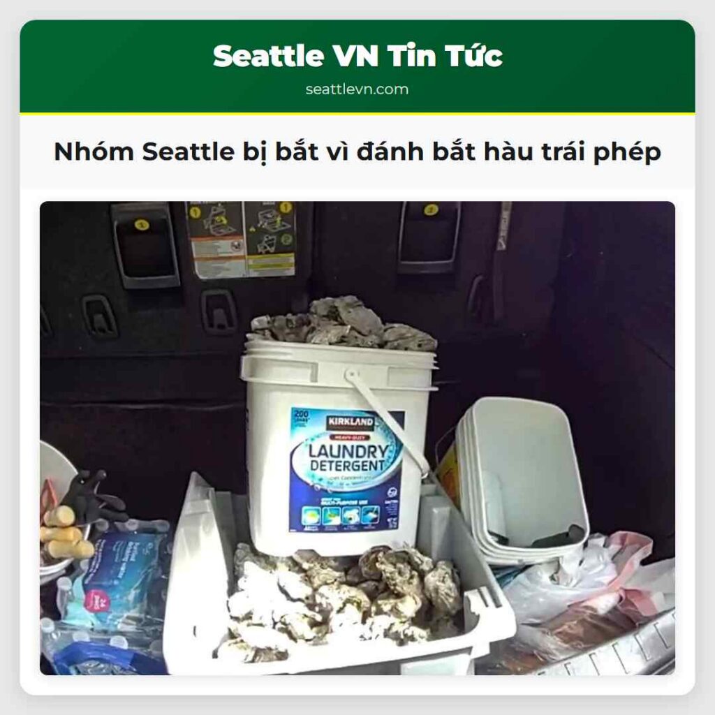 Nhóm Seattle bị bắt vì đánh bắt hàu trái phép