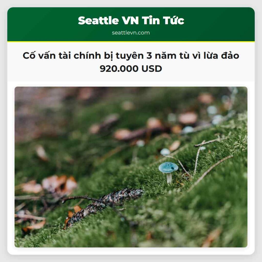 Cố vấn tài chính bị tuyên 3 năm tù vì lừa đảo