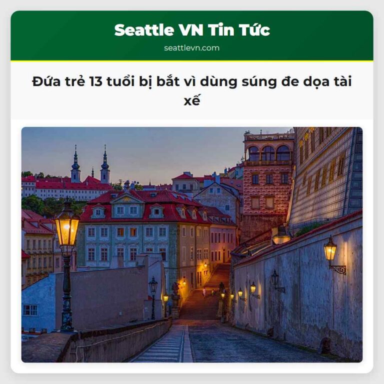 Đứa trẻ 13 tuổi bị bắt vì dùng súng đe dọa tài xế