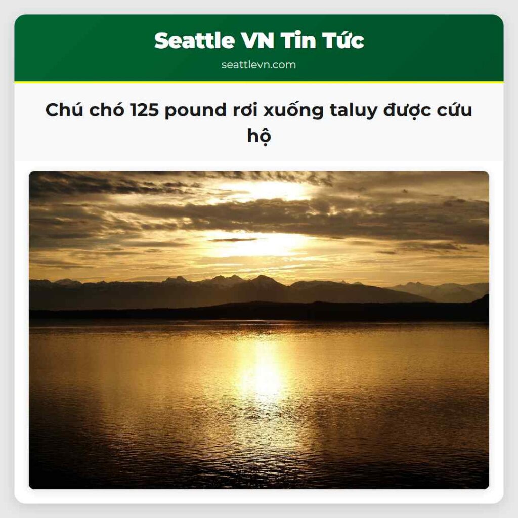 Chú chó 125 pound rơi xuống taluy được cứu hộ