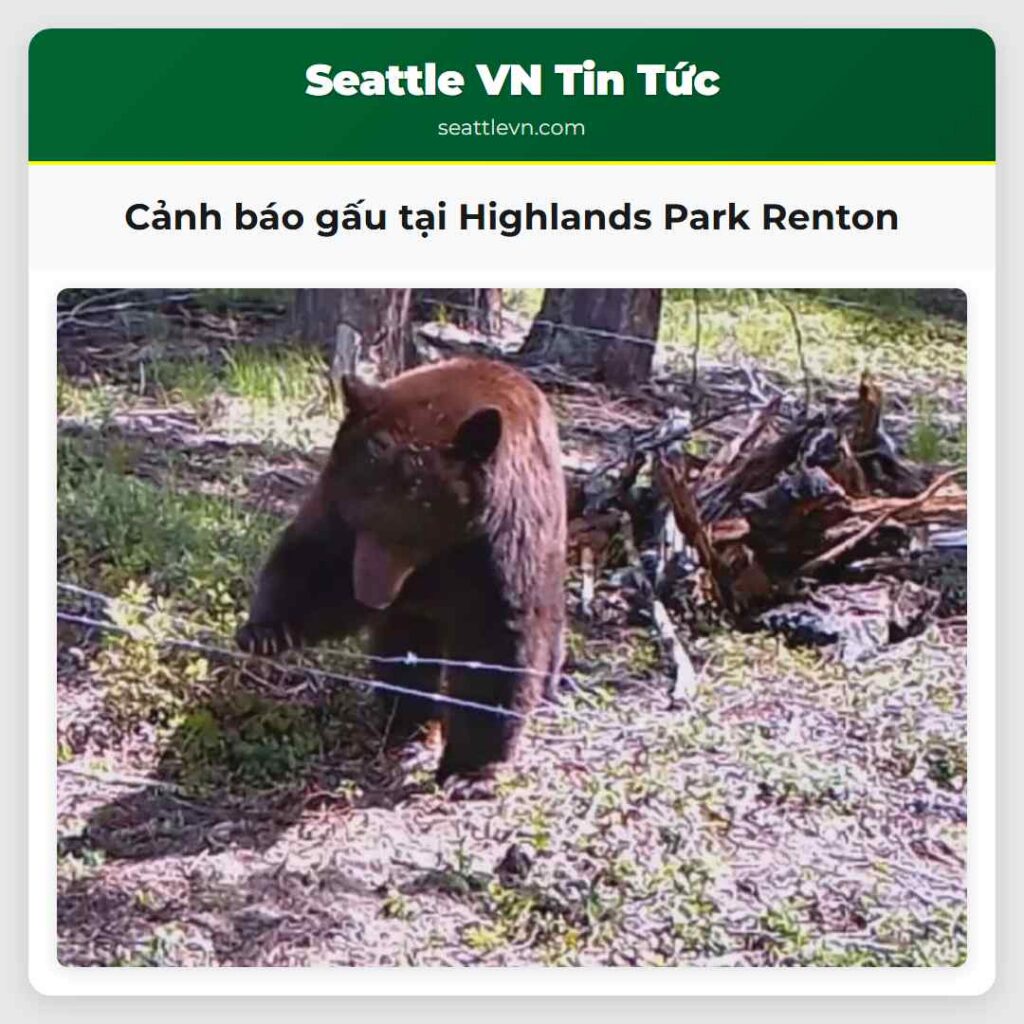 Cảnh báo gấu tại Highlands Park Renton