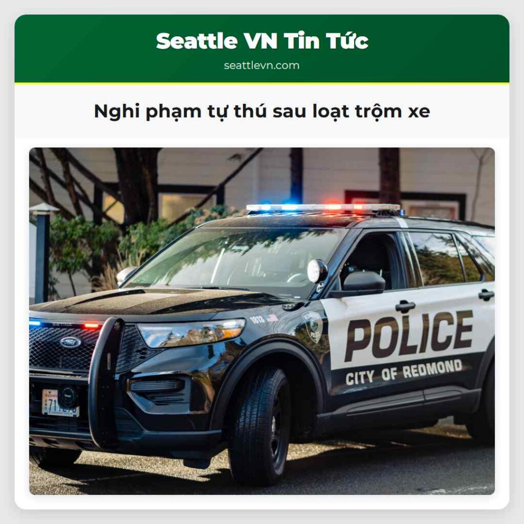 Nghi phạm tự thú sau loạt trộm xe