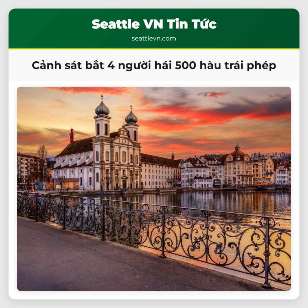 Cảnh sát bắt 4 người hái 500 hàu trái phép