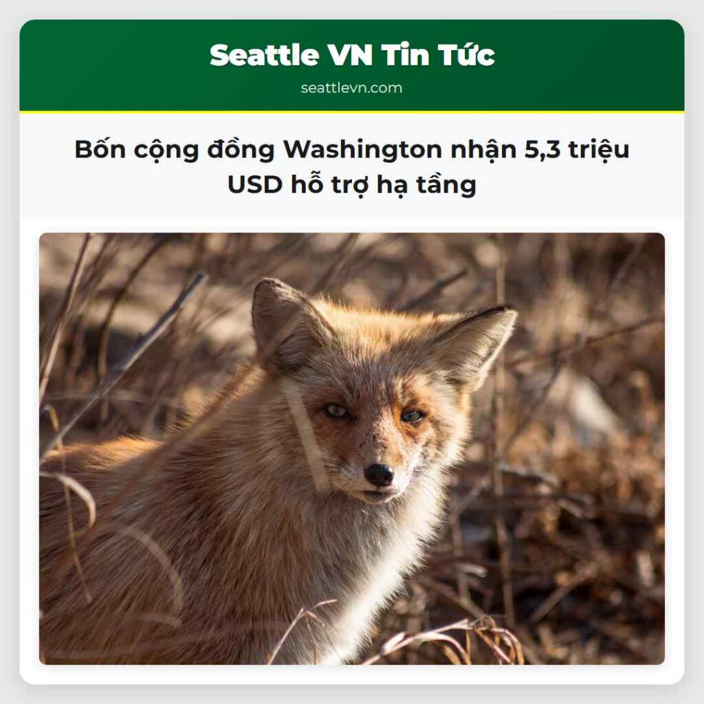 Bốn cộng đồng Washington nhận 5,3 triệu USD hỗ
