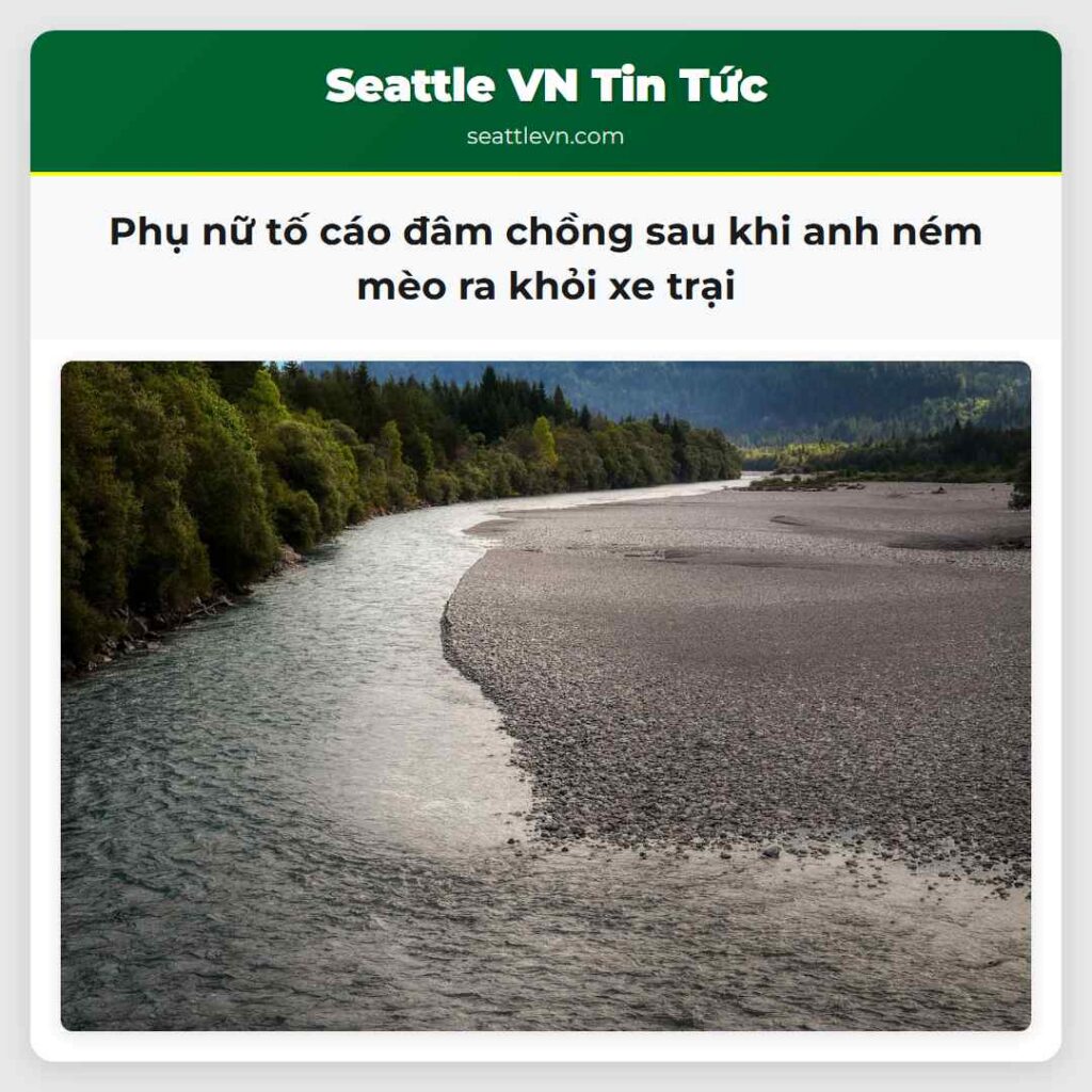 Phụ nữ tố cáo đâm chồng sau khi anh ném mèo ra