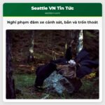 Nghi phạm đâm xe cảnh sát bắn và trốn thoát