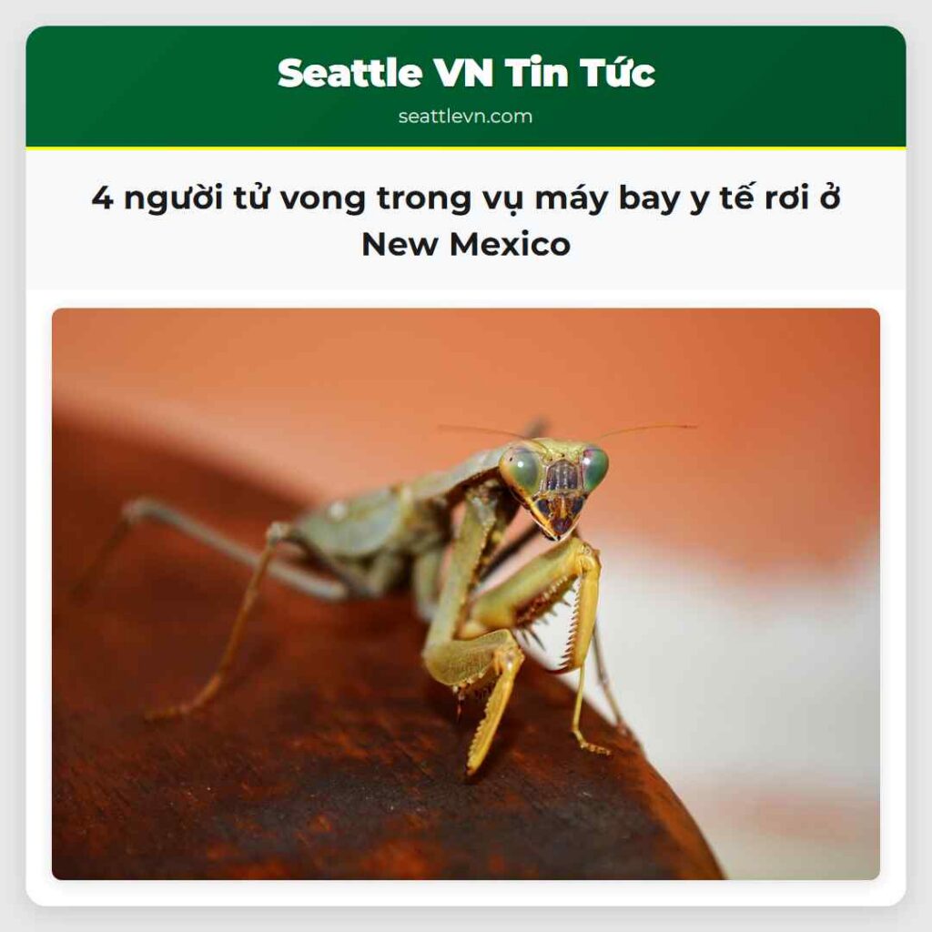 4 người tử vong trong vụ máy bay y tế rơi ở New