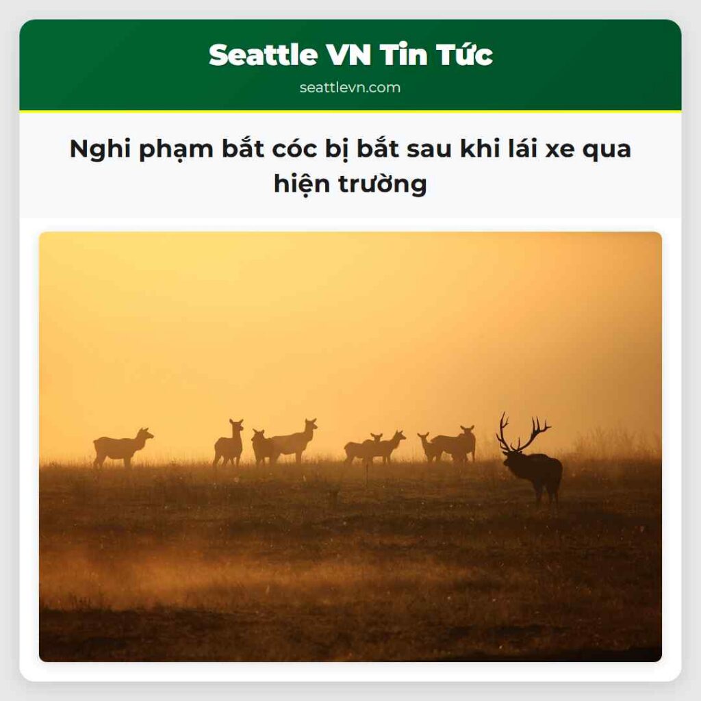 Nghi phạm bắt cóc bị bắt sau khi lái xe qua hiện