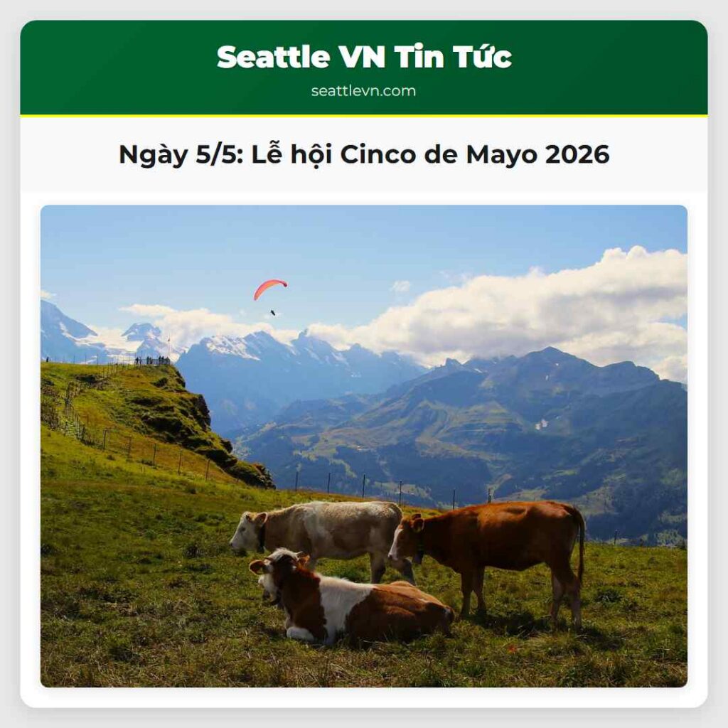 Ngày 5/5: Lễ hội Cinco de Mayo 2026